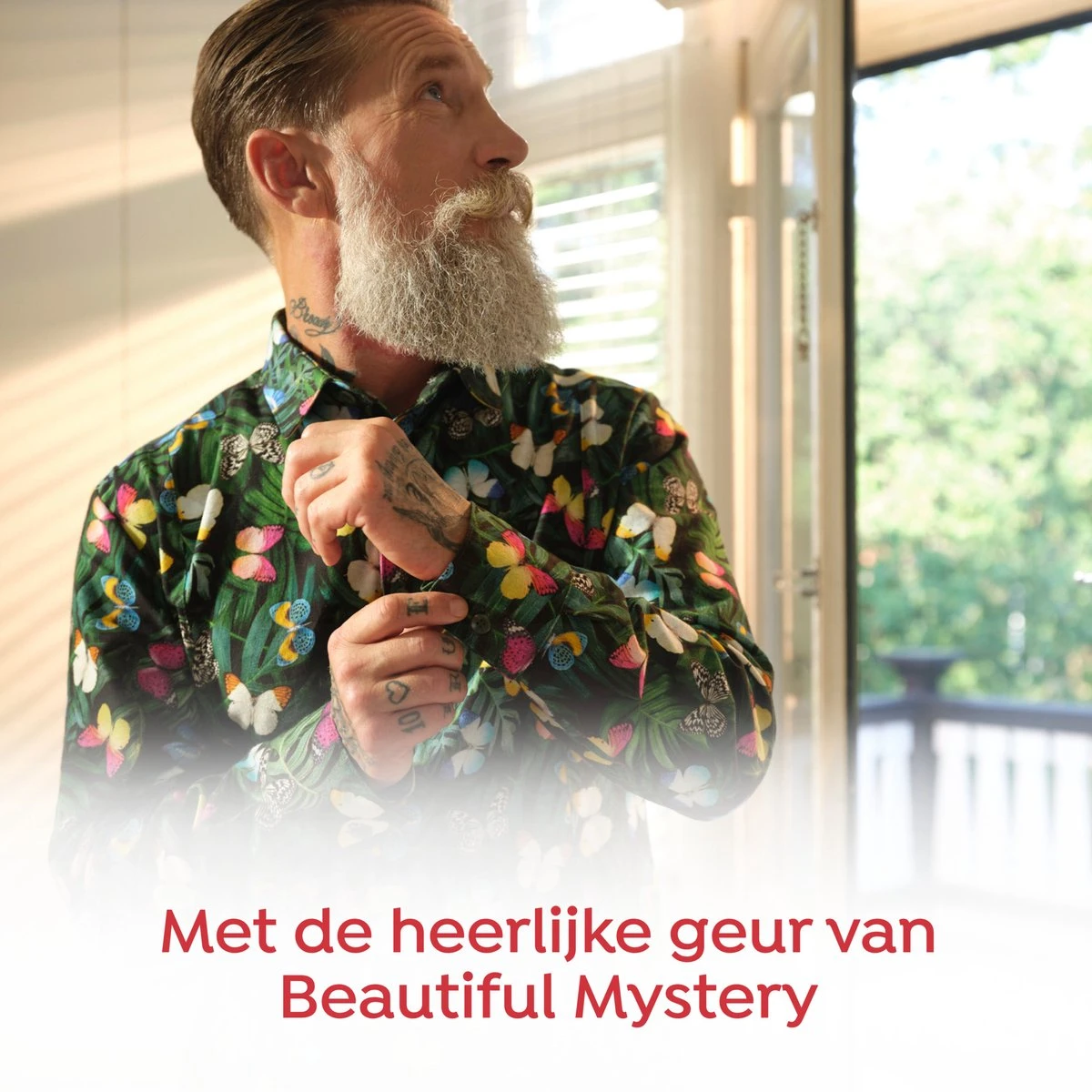 Robijn Collections Beautiful Mystery Wasverzachter - 8 X 33 Wasbeurten - Voordeelverpakking - Afbeelding 7